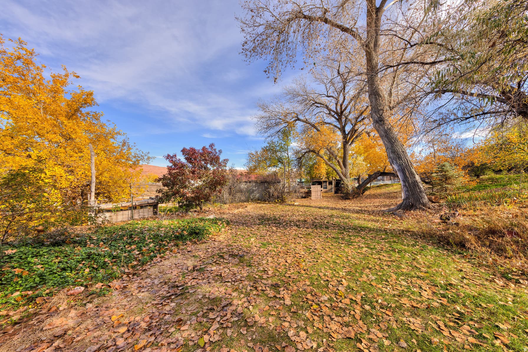 1431 S MILL CREEK DR photo 1