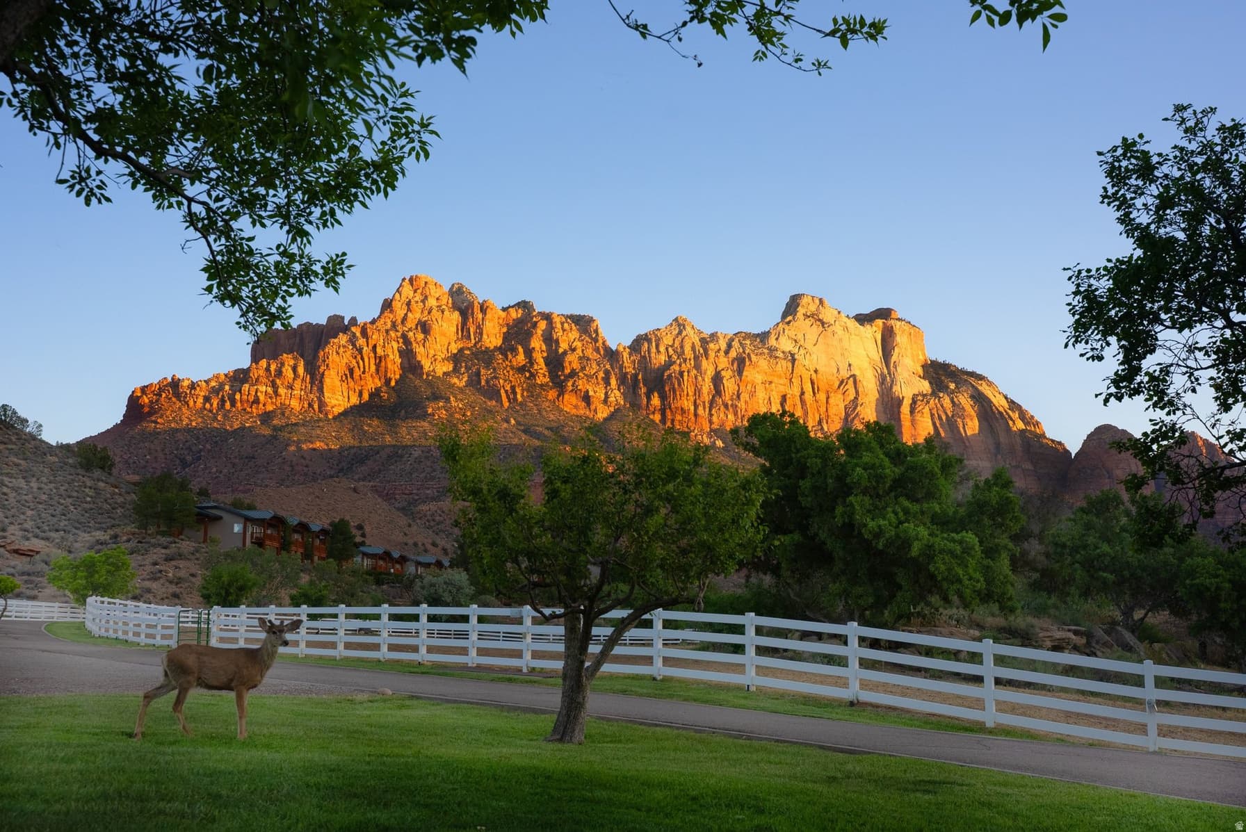 2428 ZION PARK BLVD photo 1